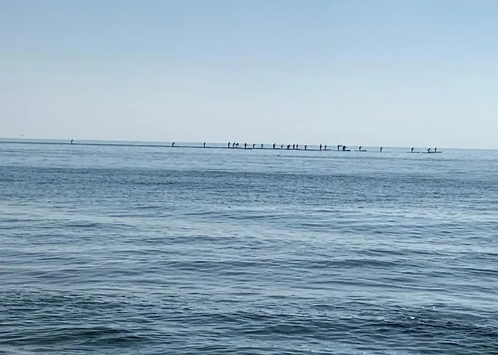Apartamentoen La Playa, 200 Mts De La Playa Nuevo