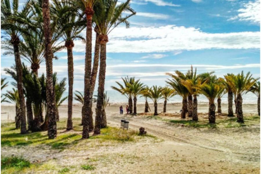 Apartamentoen La Playa, 200 Mts De La Playa Nuevo